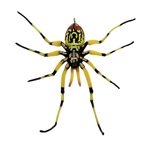 Jw