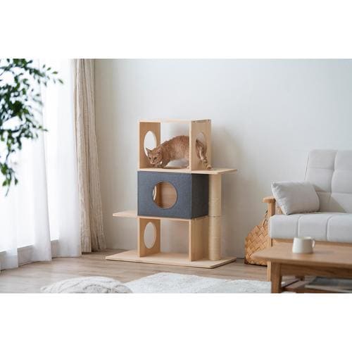 �i�`�������L���b�g�^���[