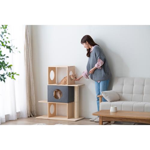 �i�`�������L���b�g�^���[