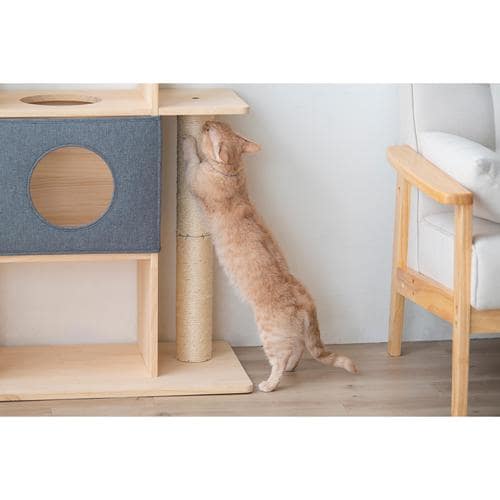 �i�`�������L���b�g�^���[