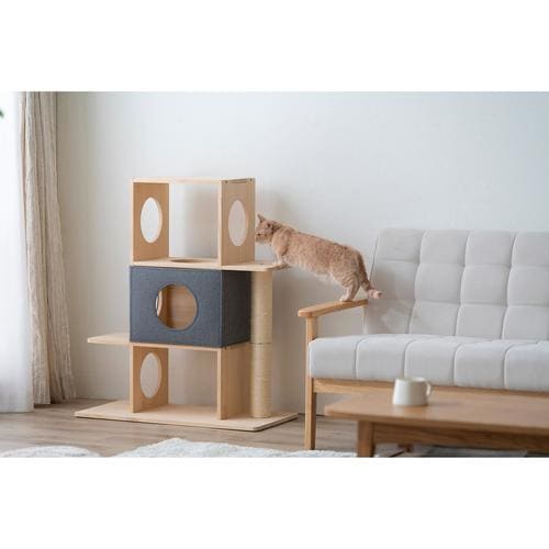 �i�`�������L���b�g�^���[