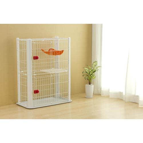 �J���[�X�����P�[�W