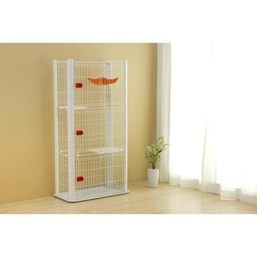 �J���[�X�����P�[�W