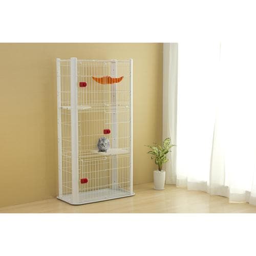 �J���[�X�����P�[�W