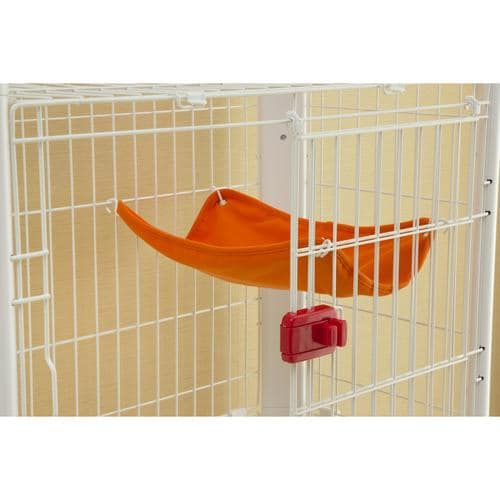 �J���[�X�����P�[�W