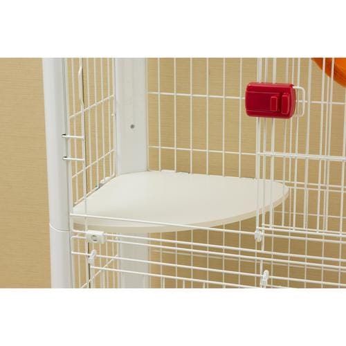 �J���[�X�����P�[�W