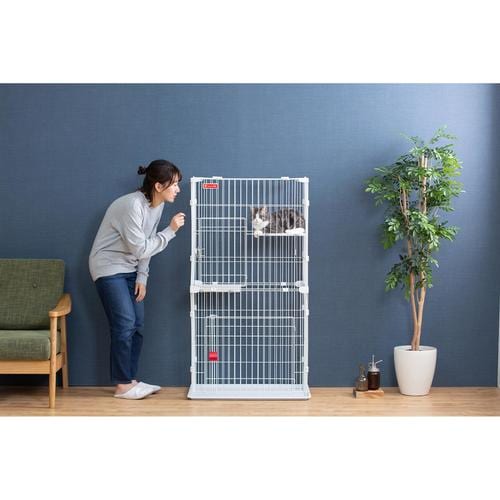 �X�����L���b�g�P�[�W