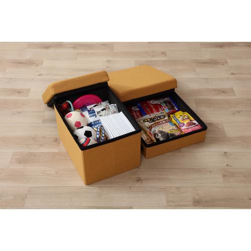 ペットステップ