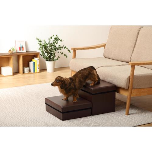 ペットステップ