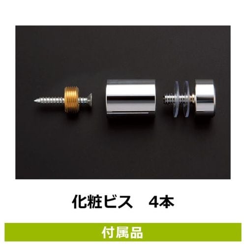 �B�e�͂�����