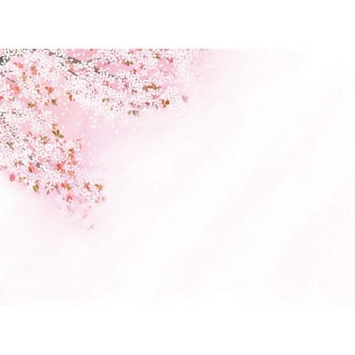 ӂ肳܃Zbg