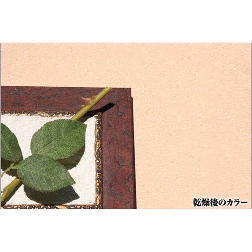 jyCg