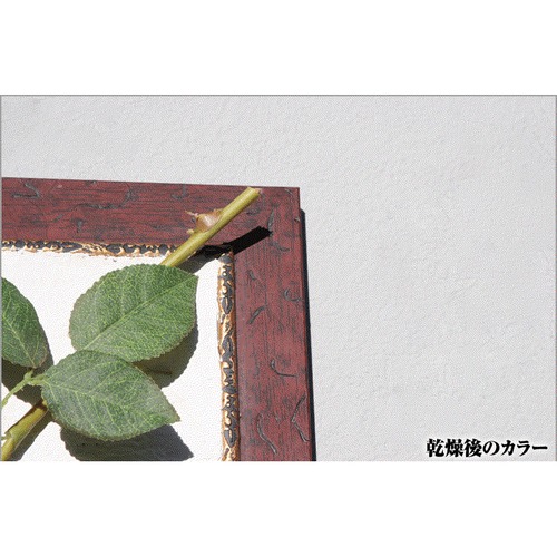 jyCg@XO[@T