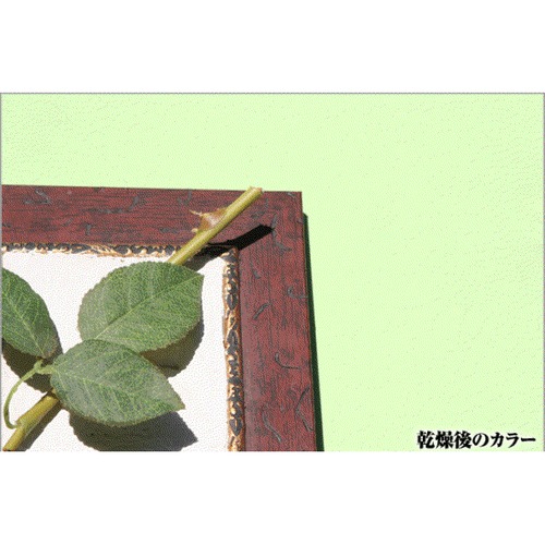 jyCg@C@T