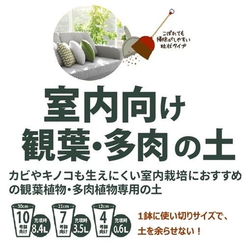 ϗt̓y