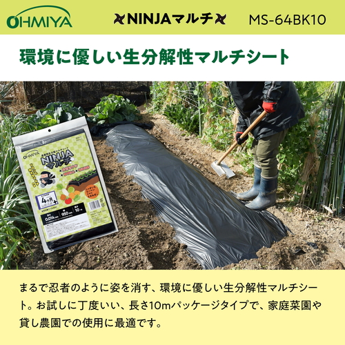 mhmi`}`@PO