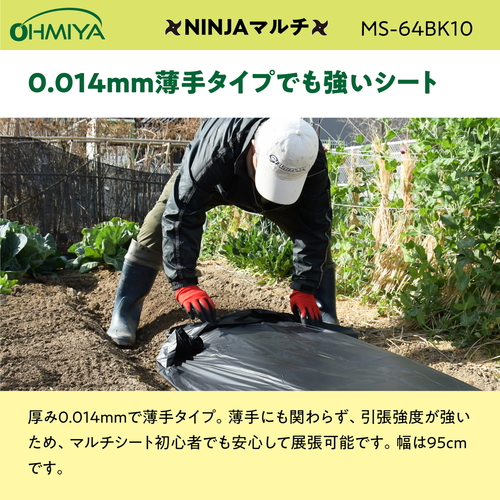 mhmi`}`@PO