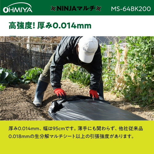 mhmi`}`@QOO