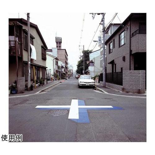 HʕWށ@nZ^@WXCr\bh
