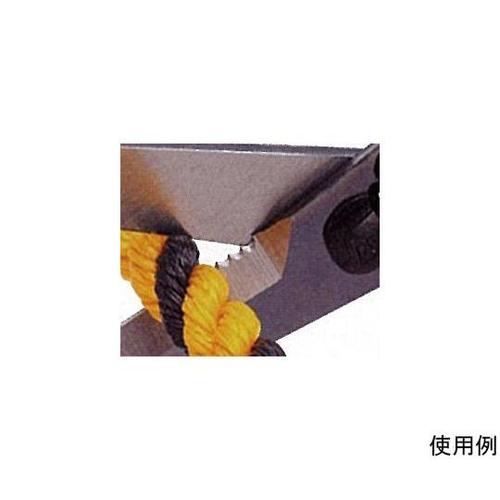 QOO@\͂݁iXeXj