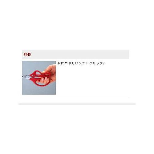 PXT@͂݁ENtg@d`TSO