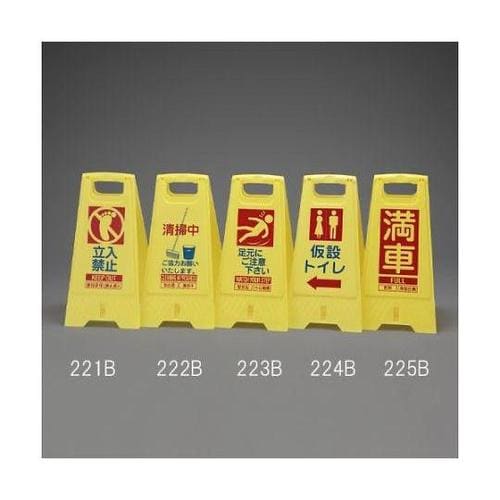 �T�C���X�^���h