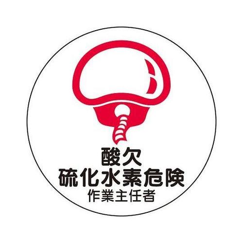 ӂRT@wbgXebJ[i_