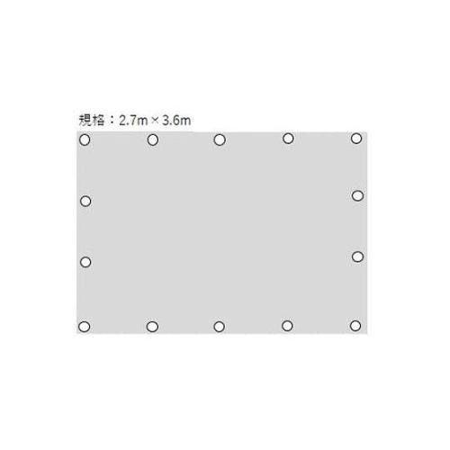 �u���[�V�[�g�i���Q�T�O�O�^�h���j