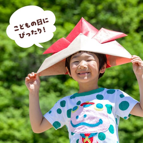 ݂Ȃō邱̂ڂz