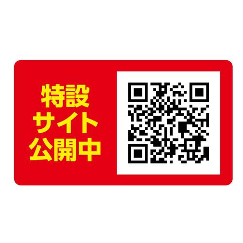 RގǗx[VbNpbP[W