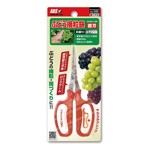 ԂǂEinj@d`TSO``|QR