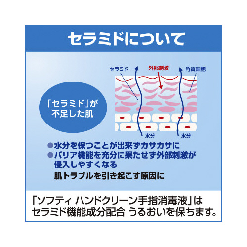 \teB@nhN[@wŉt@Pk