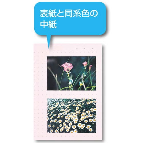 NA[t@C@J[x[X@Œ莮@@s\