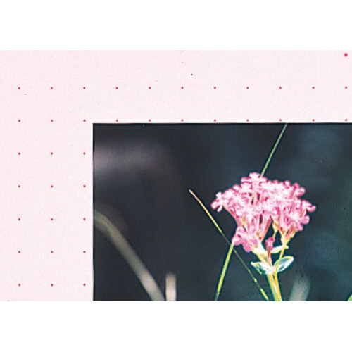 J[x[XŒ莮@`ScQO|Pbg@ԁ~RO