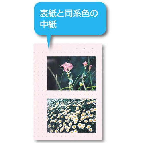 J[x[XŒ莮@`ScQO|Pbg΁~PO