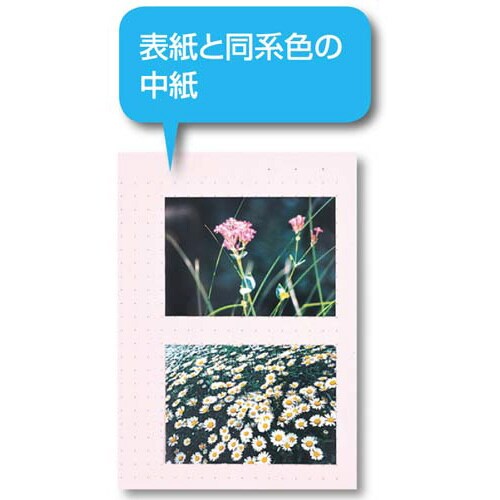 J[x[XŒ莮@`ScSO|Pbg@΁~PO
