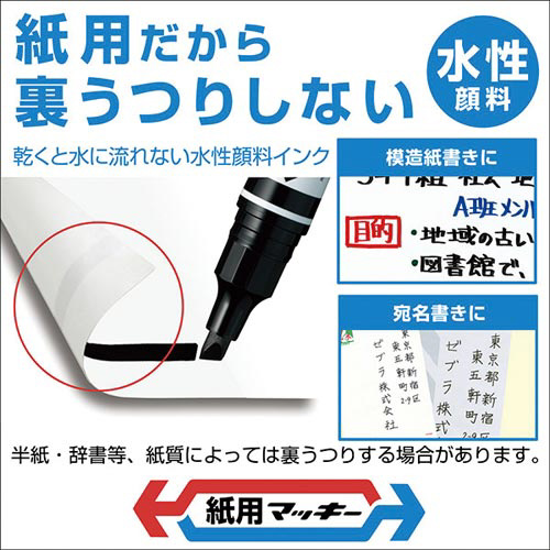 生物細密画（水彩）「ブラックタイガー」