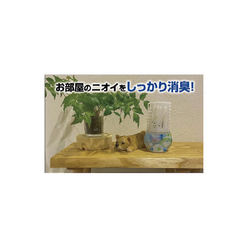 ̏L@{^jJn[u~S