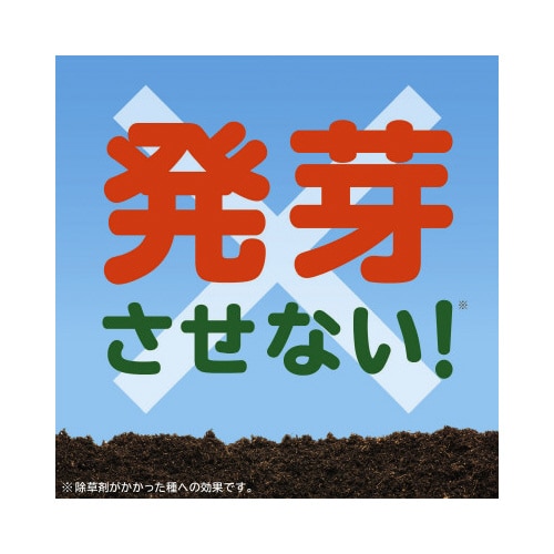̑R@POOO