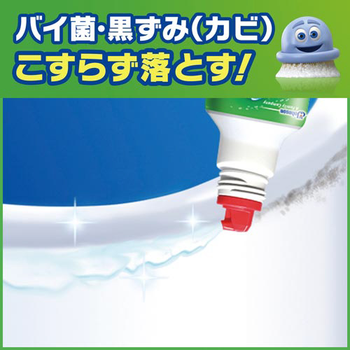 XNrOou̓gCN[i[@S{