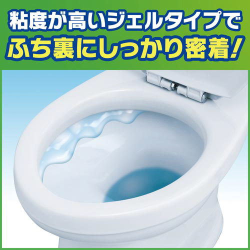 XNrOou̓gCN[i[@S{