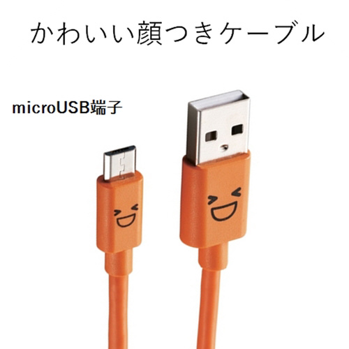 aP[u^PDQ^ȈՕ^IW