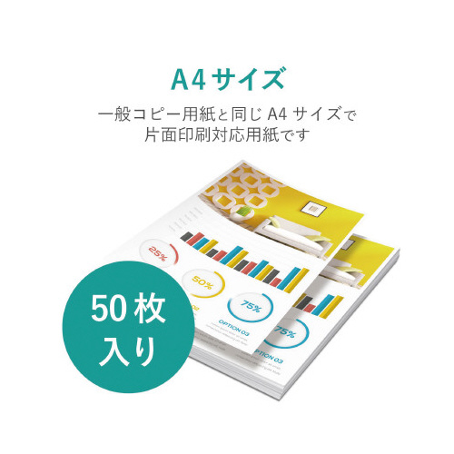 X[p[t@C@掿p@Жʂ`S@TO