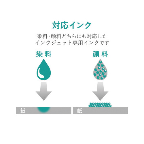 X[p[t@C@掿p@藼ʂ`S@QO