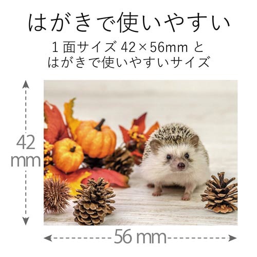 ʐ^V|