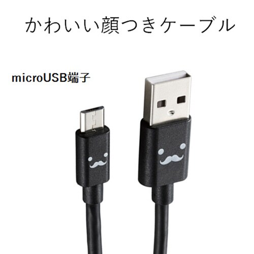 aP[u^PDQ^ȈՕ^ubN
