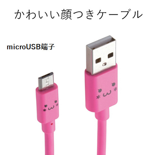 aP[u^PDQ^ȈՕ^sN