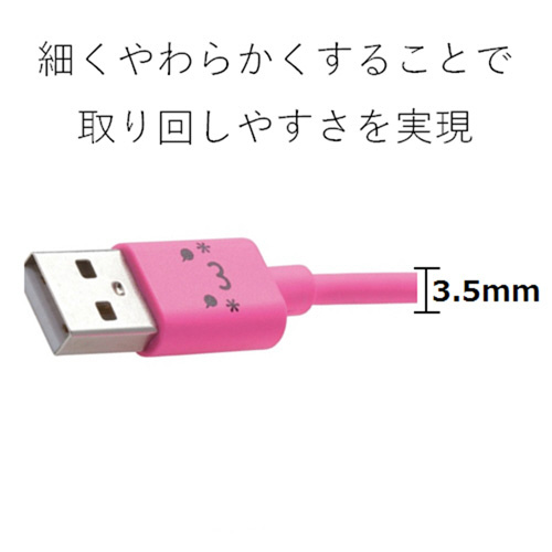 aP[u^PDQ^ȈՕ^sN