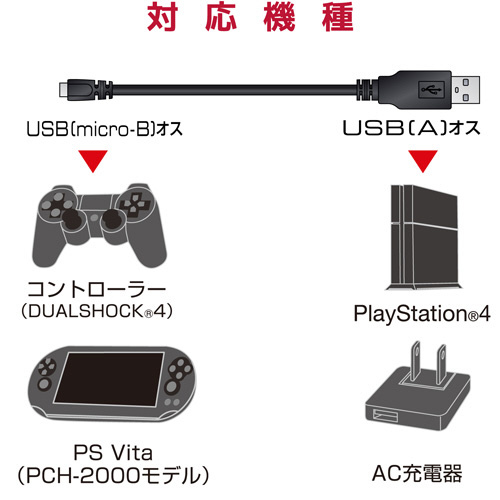 traP[u^P^ubN