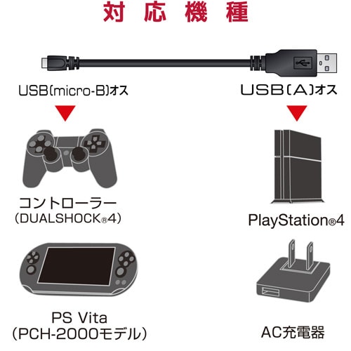 traP[u^PDT^ubN